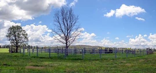 13192 Gwydir Highway Glen Innes NSW 2370 - Image 3