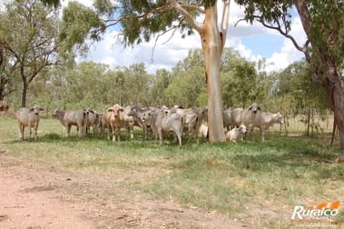 174 Helenslee Road Homestead QLD 4816 - Image 2