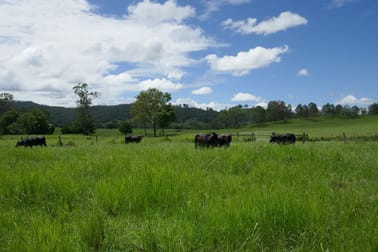 1023 Iron Pot Creek Road Kyogle NSW 2474 - Image 3