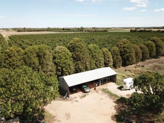 244 Centre Road Invergordon VIC 3636 - Image 3