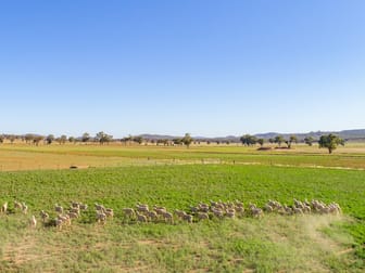 2789 Lachlan Valley Way Gooloogong NSW 2805 - Image 2