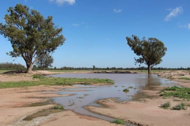 636 Yelarbon - Kurumbul Rd Yelarbon QLD 4388 - Image 3