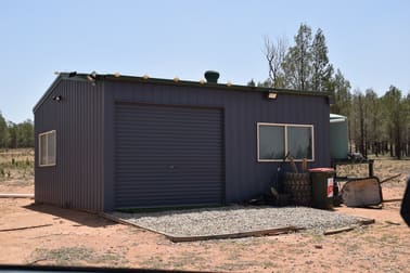 470 Dilladerry Road Tomingley NSW 2869 - Image 2
