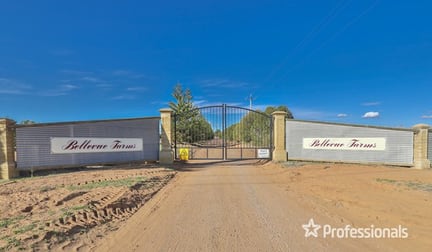 Lot 1 Pooncarie Road Wentworth NSW 2648 - Image 1
