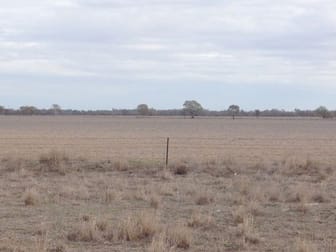 "BELMONT" LOT 18, DP 752271 Walgett NSW 2832 - Image 1