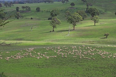 1889 Greenhills Road Guyra NSW 2365 - Image 1