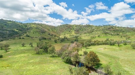 1155 Bindawalla Rd Bundarra NSW 2359 - Image 1