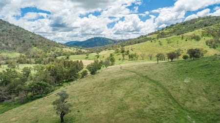 1155 Bindawalla Rd Bundarra NSW 2359 - Image 2