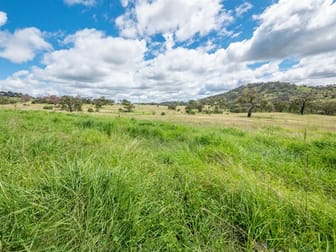 1155 Bindawalla Rd Bundarra NSW 2359 - Image 3