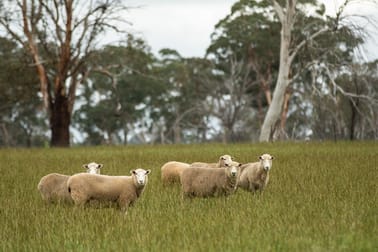633 Black Mountain Road Guyra NSW 2365 - Image 3