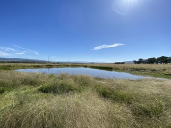 115 Milford Hills Lane Scone NSW 2337 - Image 1
