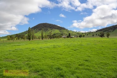 227 Melrose Road Mudgee NSW 2850 - Image 2