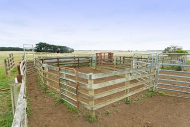 603 Woolsthorpe Hexham Road Woolsthorpe VIC 3276 - Image 3