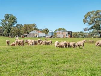 Walcha NSW 2354 - Image 2