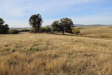 3486 Jingellic Road Mannus NSW 2653 - Image 1