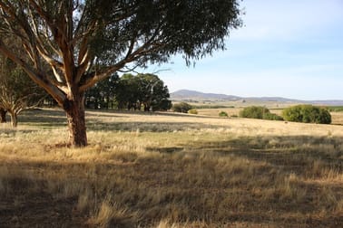 3486 Jingellic Road Mannus NSW 2653 - Image 3