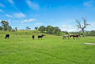 1351 Summerhill Road Gresford NSW 2311 - Image 2