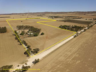 87 Hills Road Robertstown SA 5381 - Image 1