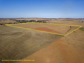 87 Hills Road Robertstown SA 5381 - Image 2