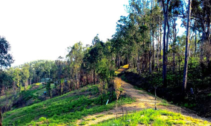 Click to view all images Wamuran Basin QLD 4512 - Image 3