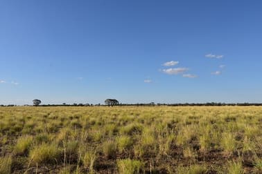 Muttaburra QLD 4732 - Image 1