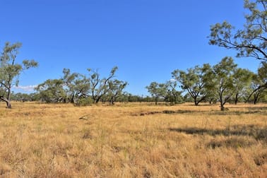 Muttaburra QLD 4732 - Image 2