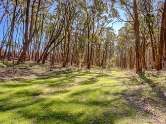 226 Warrima Drive Tallong NSW 2579 - Image 2