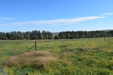 7 Kirkton Road Yass NSW 2582 - Image 2