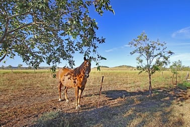 102 Cocks Millard Road Thangool QLD 4716 - Image 1