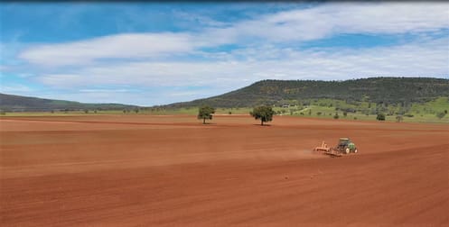 9849 Oxley Hwy Gunnedah NSW 2380 - Image 3