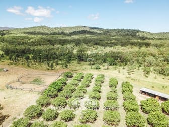 43 Campbell Road Mutchilba QLD 4872 - Image 1