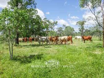 43 Campbell Road Mutchilba QLD 4872 - Image 3