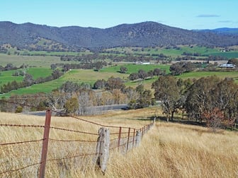 100 Snowy Mountains Highway Adelong NSW 2729 - Image 3