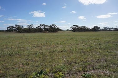 1028 Warro Road Boothendarra WA 6521 - Image 1