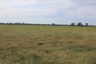 " Amaroo Drive Blocks" Moree NSW 2400 - Image 1