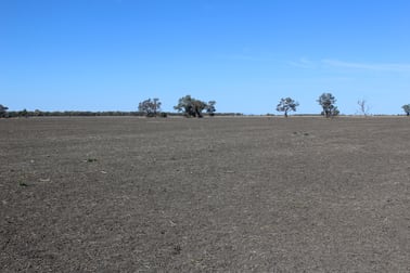 " Amaroo Drive Blocks" Moree NSW 2400 - Image 3