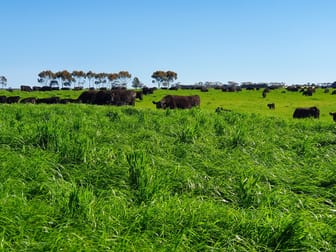 460 Ramsay Road Irrewarra VIC 3249 - Image 1