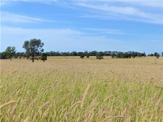 . "Telco" Roma QLD 4455 - Image 1