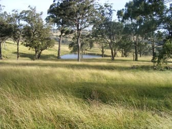 'Kingsgate/1319 Tablelands Road Red Range NSW 2370 - Image 1