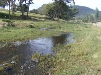 'Kingsgate/1319 Tablelands Road Red Range NSW 2370 - Image 3