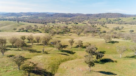 'Warrenella' Yarramanbully Road Tamworth NSW 2340 - Image 1