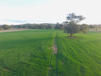1593 Muttama Road Muttama NSW 2722 - Image 3