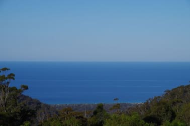 1025 Elephant Pass Road Gray TAS 7215 - Image 2