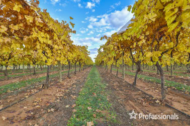 42 Daunts Road Sunnycliffs VIC 3496 - Image 2