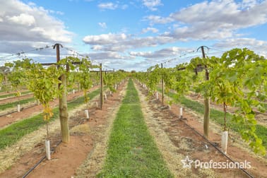 42 Daunts Road Sunnycliffs VIC 3496 - Image 3