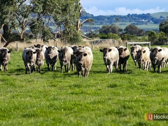 228 Lynche Road Bass VIC 3991 - Image 2