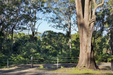 55 Williams Road Saddleback Mountain NSW 2533 - Image 3