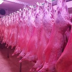 Food & Beverage  business for sale in Campbellfield - Image 1