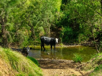 1224 Cawongla Road Larnook NSW 2480 - Image 3
