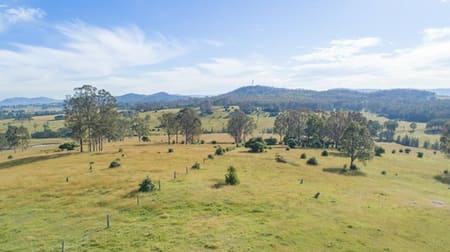 Lot 1 Wyndella Road Lochinvar NSW 2321 - Image 3